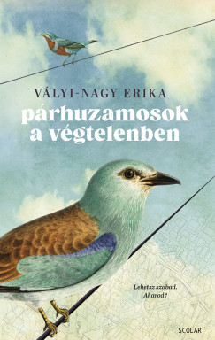 Vlyi-Nagy Erika - Prhuzamosok a vgtelenben