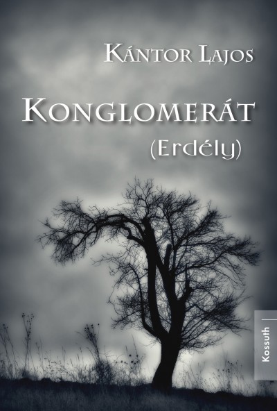 Kántor Lajos - Konglomerát
