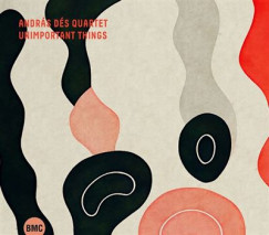 D�s Andr�s Quartet - Unimportant Things - CD