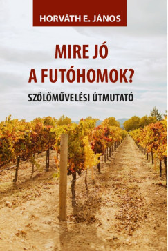 Horvth E. Jnos - Mire j a futhomok?