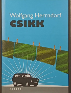 Wolfgang Herrndorf - Csikk