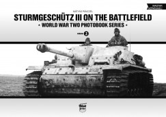Pnczl Mtys - Sturmgeschtz III on the Battlefield
