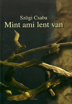 Szgi Csaba - Mint ami lent van - Az lmod ember keringje