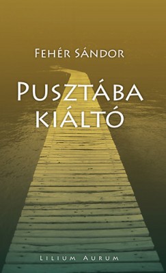 Fehr Sndor - Pusztba kilt