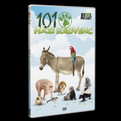 101 Hzi kedvenc - DVD