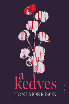 Toni Morrison - A Kedves