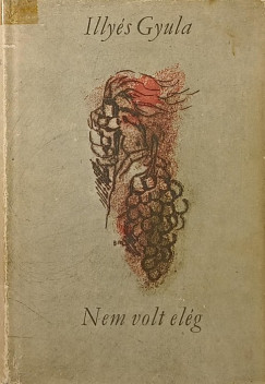 Illy�s Gyula - Nem volt el�g
