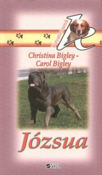 Christina Bigley - Carol Bigley - Jzsua