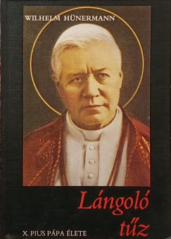 Wilhelm Hünermann - Lángoló tűz
