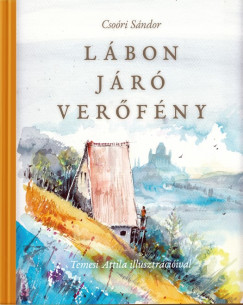 Csori Sndor - Lbon jr verfny