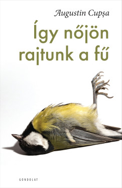 Augustin Cupsa - �gy n�j�n rajtunk a f�