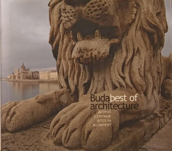 Simon Katalin - Budabest of Architecture