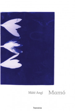 Mt Angi - Mam