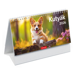 Kuty�k - asztali napt�r 24x12,8 cm - 2026