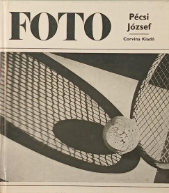 Féjja Sándor - Pécsi József munkássága