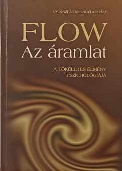 Csíkszentmihályi Mihály - Flow - Az áramlat