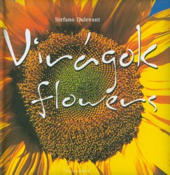 Stefano Dulevant - Virgok - Flowers