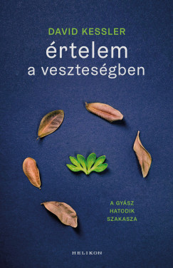 David Kessler - rtelem a vesztesgeben