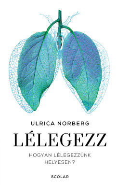 Ulrica Norberg - Llegezz