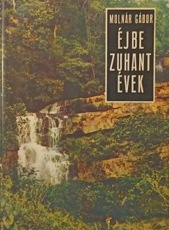 Moln�r G�bor - �jbe zuhant �vek