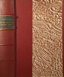 Csermely Gyula - Ami k�t Miaty�nk k�z�tt van