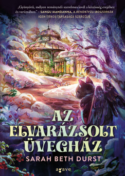 Sarah Beth Durst - Az elvarzsolt veghz