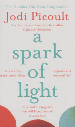 Jodi Picoult - A Spark of Light