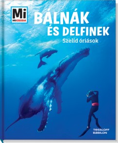 Martin Kaluza - Blnk s delfinek - Szeld risok