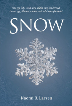 Naomi B. Larsen - Snow