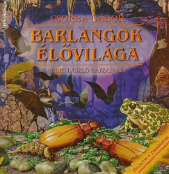 Csorba G�bor - Barlangok �l�vil�ga