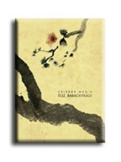 �lsz, Barackvir�g!