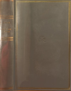 Andersen Nex - Szrke fny - szmozott