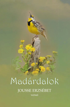 Jousse Erzsébet - Madárdalok