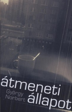Gy�rgy Norbert - �tmeneti �llapot