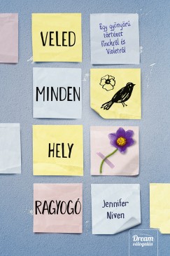 Jennifer Niven - Veled minden hely ragyog - Kemny kts