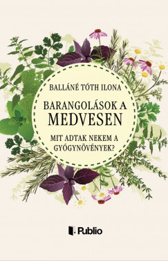 Balláné Tóth Ilona - Barangolások a Medvesen
