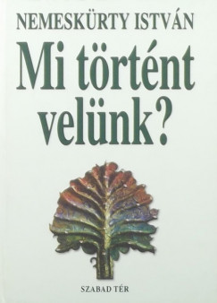 Nemeskrty Istvn - Mi trtnt velnk?