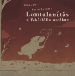 Bks Pl - Lomtalants a Fehrlfia utcban