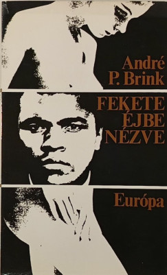 André Brink - Fekete éjben nézve
