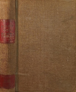 Alphonse Daudet - Sapho (francia nyelvű)