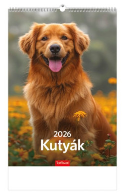 Kutyk falinaptr 22x33 cm - 2026