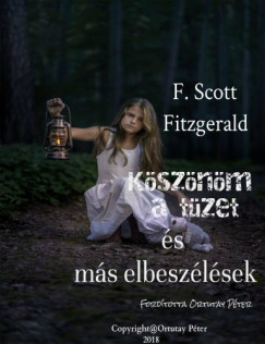 Fitzgerald Scott - Ksznm a tzet s ms elbeszlsek