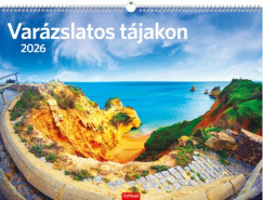 Var�zslatos t�jakon falinapt�r 42x31 cm