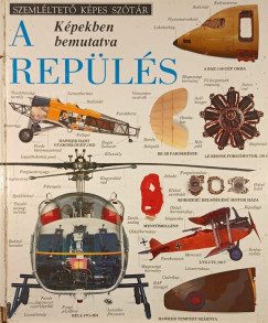 A rep�l�s k�pekben bemutatva