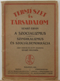 Szabó Ervin - A szocializmus - Szindikalizmus és szociáldemokrácia