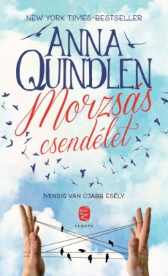 Anna Quindlen - Morzsás csendélet