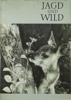 Jagd und Wild