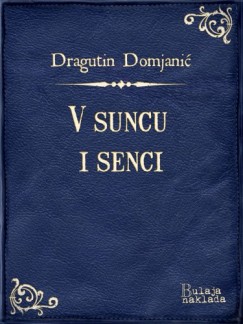 Dragutin Domjani� - V suncu i senci