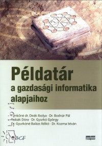 Benkn Dek Ibolya - Dr. Bodnr Pl - Pldatr a gazdasgi informatika alapjaihoz