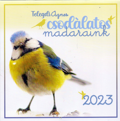 Telegdi Ágnes - Csodálatos madaraink naptár 19x19 cm - 2023